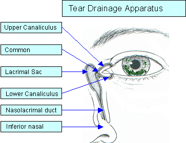 Lacrimal Surgery 2